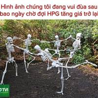 F0 Tích Cực