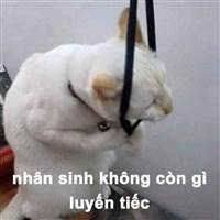 Chuyên Gia Cổ Cánh