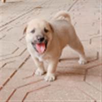 Phương Nguyễn Thanh