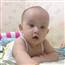 Sinh Tiger