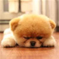 Sự thật mất lòng