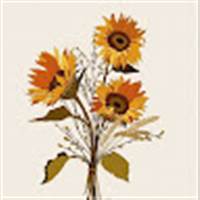 Anh Tuấn Phan Nguyễn