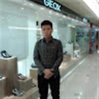 dinh le manh