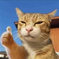 Trần Huỳnh Bảo Hxc