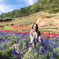 Hương Thảo