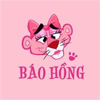 BÁO HỒNG
