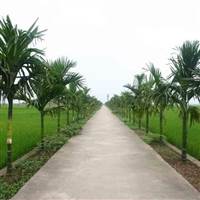 Vũ Phú Trường