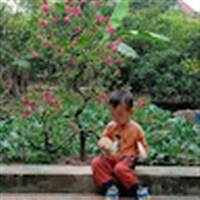 quannguyenvan642@gmail.com