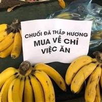 Mới Nhú