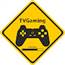 Văn Nguyễn Thanh Tường (TV GAMING)