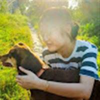 Như Trần Gia
