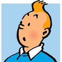 TinTin The Detective