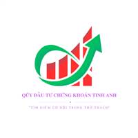 Qũy đầu tư chứng khoán Tinh Anh 
