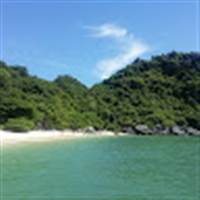 Nhà Đầu Tư 86
