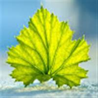 Đặng Tiến Độ