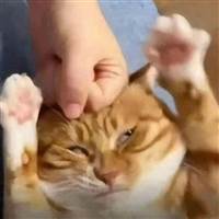 HẠP TIẾN HẢI