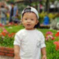 Thanh Phu Vo Phung