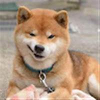 Hiếu Vũ