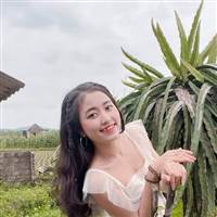 Lê Văn Trường
