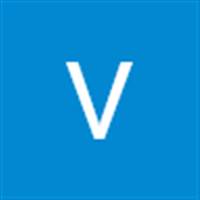 Vinh Luong The