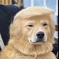 Đôn Nan Trăm