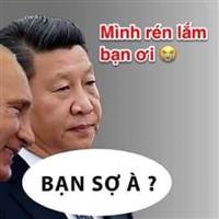 Đầu Tư Dài Hạn