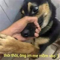 ĐỊT VÀO LỒN MẸ BỌN CHIM LỢN