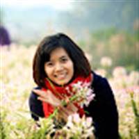Việt Phan