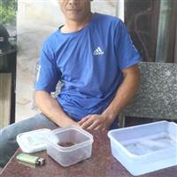 Lo Điệp