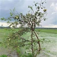 Chứng khoán vui vẻ
