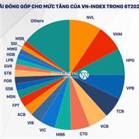 NGƯỜI QUAN SÁT