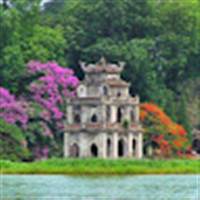 trinhdung1012@gmail.com