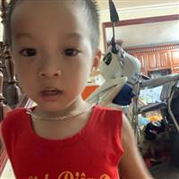 Đặng Trần Việt
