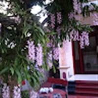 trancong1983hb@gmail.com