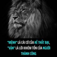 NĐT Nhỏ Lẻ 