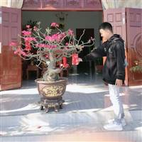 Lê Khương