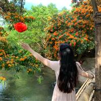 Hỗ Trợ K/H Giao Dịch miễn Phí