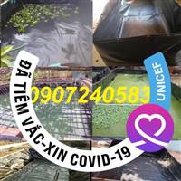 Bể Bạt Chuyên Dụng