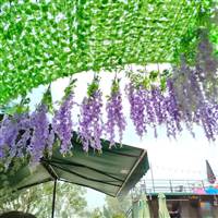 dinhthuy412@gmail.com