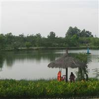 ngkhoa2008