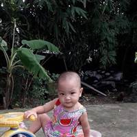 Songxo Bo