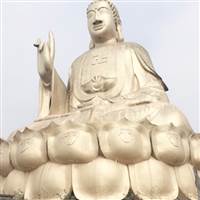 Con Lợn Ăn Hành
