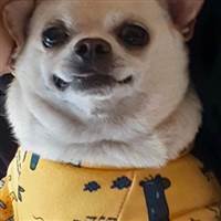 Phương Xinh đẹp