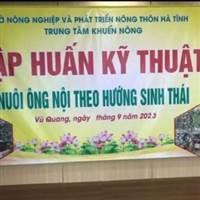 Nguyen