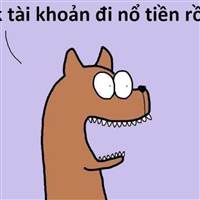 cô lái dầu qua cầu là té