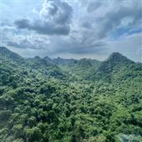 Nghệ thuật đánh Chứng
