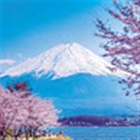 LUYEN JAPAN