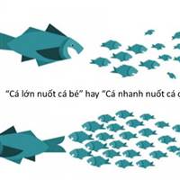 CHU DU