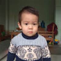 Dự Mai Tím