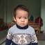 Dự Mai Tím